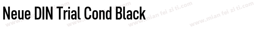 Neue DIN Trial Cond Black字体转换